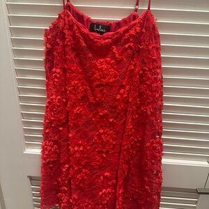 Lulus Red Lace Mini Dress